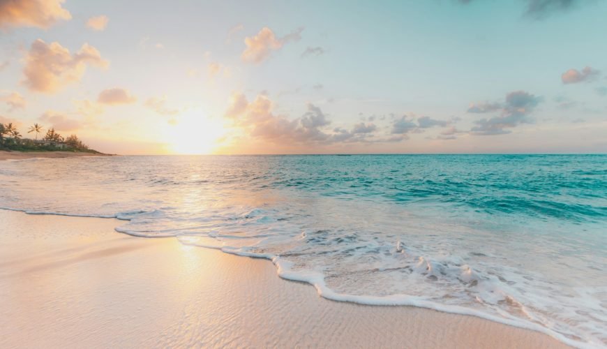 Palm-lined beach at sunrise