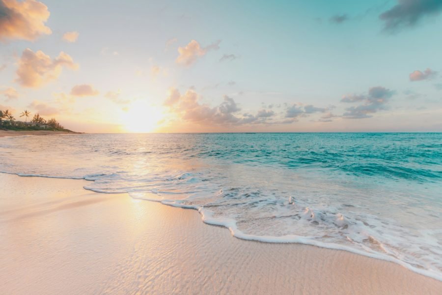 Palm-lined beach at sunrise
