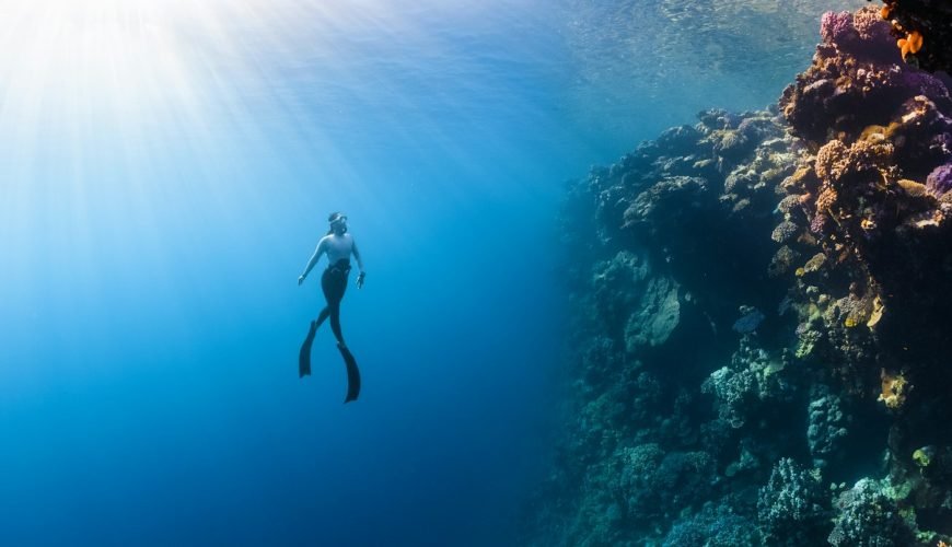 Diver swimming over a coral reef