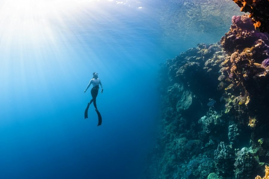 Diver swimming over a coral reef